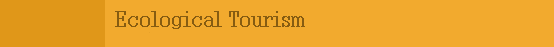 Travel Agency